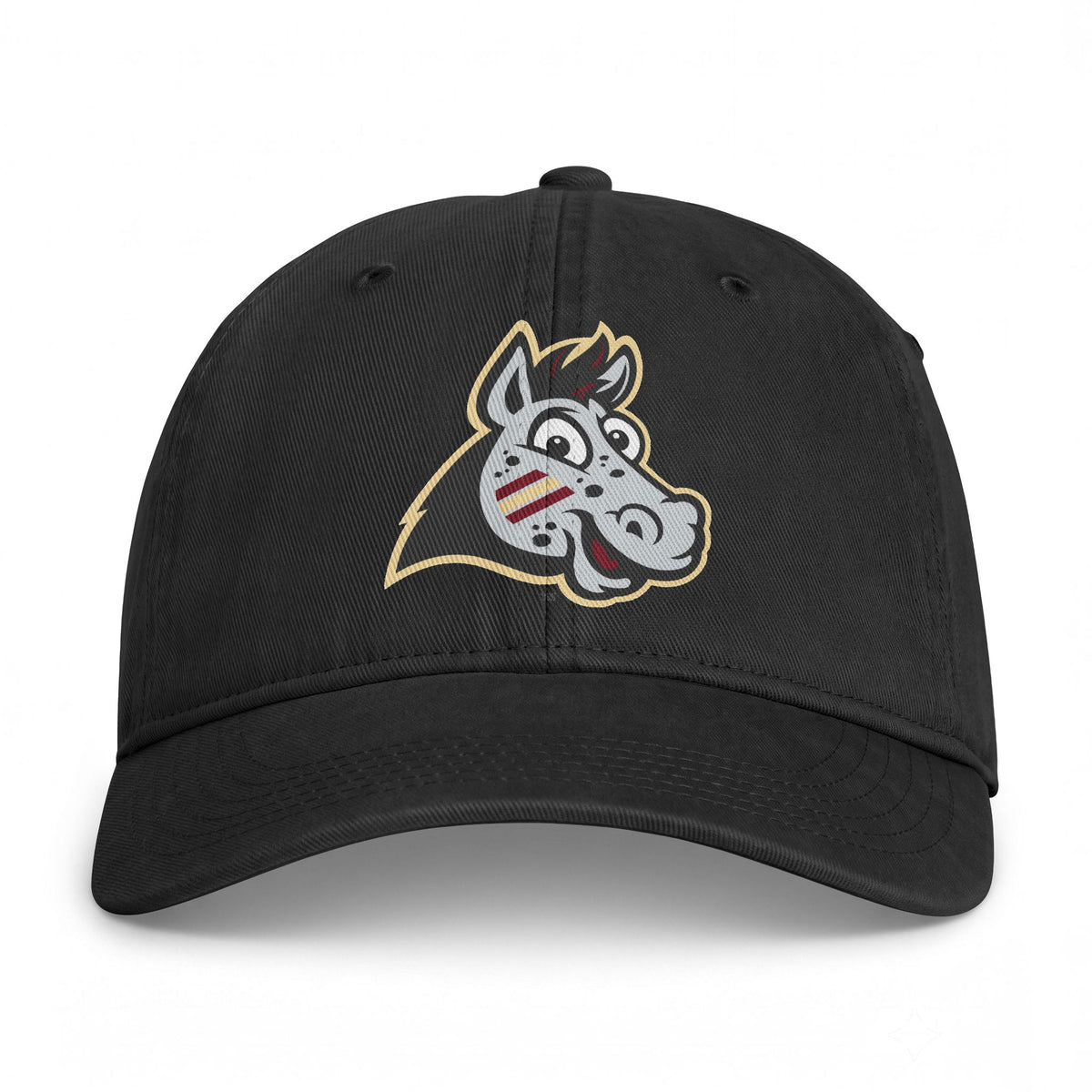 Noles ALT Logo - Dad Hat