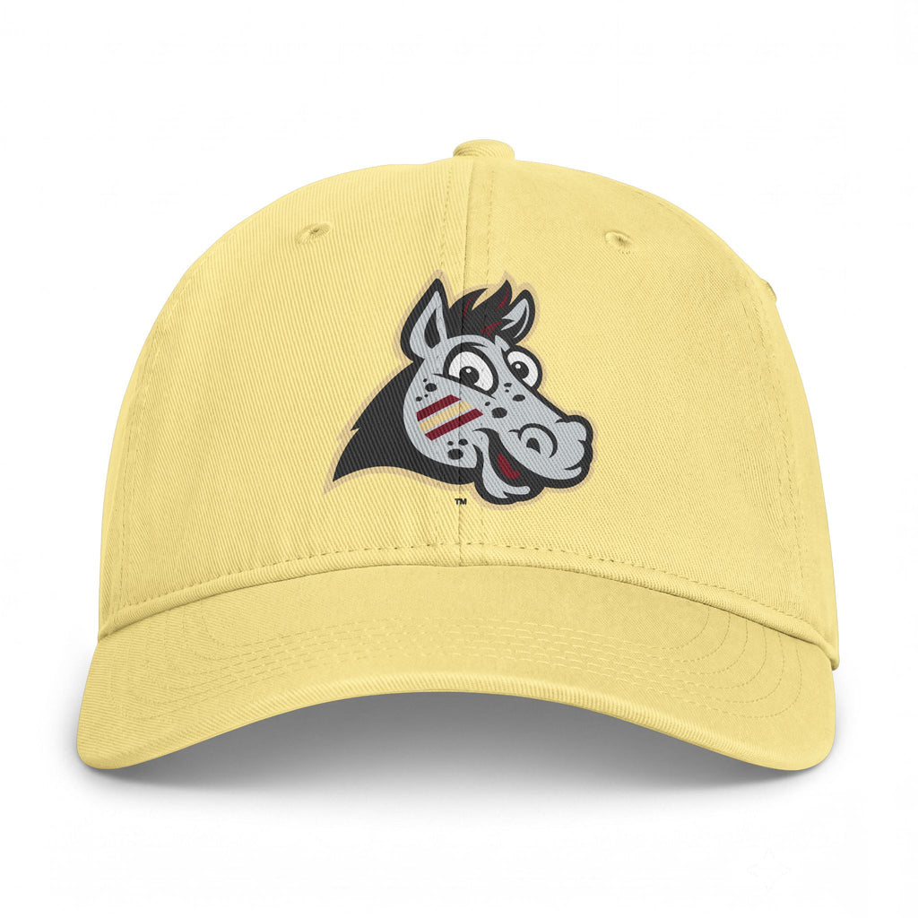 Noles ALT Logo - Dad Hat
