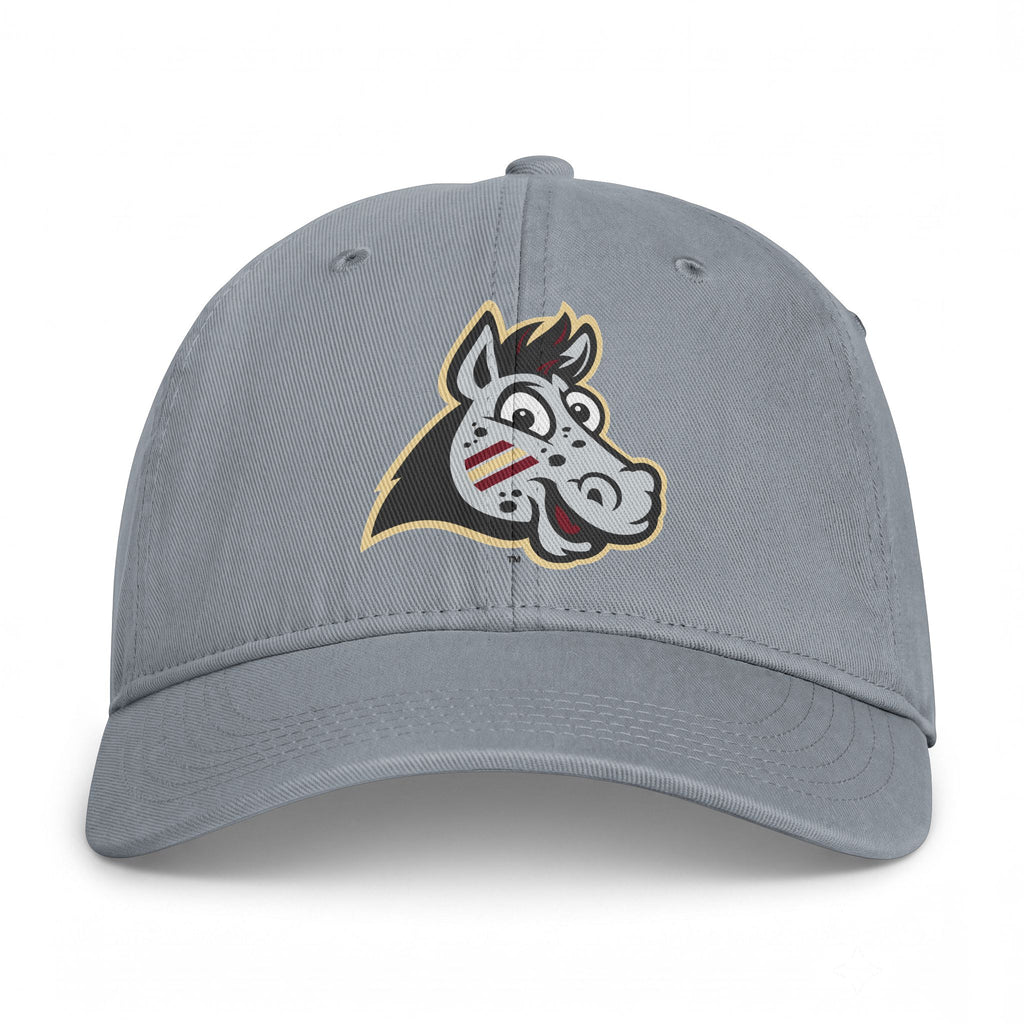 Noles ALT Logo - Dad Hat